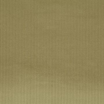 JAB Anstoetz - Cord 1-3126-033