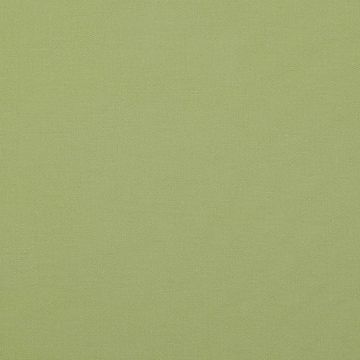 Jane Churchill - Arlo - J0141-22 Gooseberry