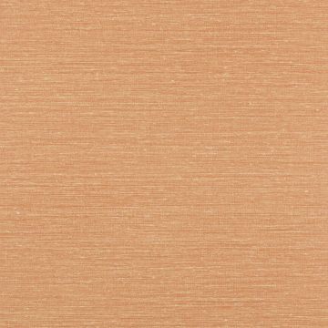 Jane Churchill - Rousseau - Atmosphere VI Wallpapers - Zapphira Wallpaper - J180W-04 Terracotta