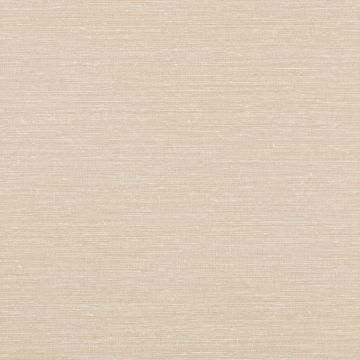 Jane Churchill - Rousseau - Atmosphere VI Wallpapers - Zapphira Wallpaper - J180W-05 Blush