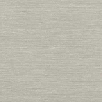 Jane Churchill - Rousseau - Atmosphere VI Wallpapers - Zapphira Wallpaper - J180W-07 Graphite