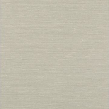 Jane Churchill - Rousseau - Atmosphere VI Wallpapers - Zapphira Wallpaper - J180W-08 Silver