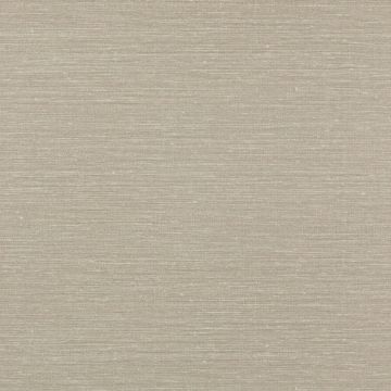 Jane Churchill - Rousseau - Atmosphere VI Wallpapers - Zapphira Wallpaper - J180W-09 Chinchilla