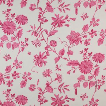 Jane Churchill - Silverley - J710F-07 Pink