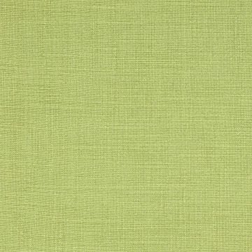 Jane Churchill - Cristo - J715F-15 Leaf