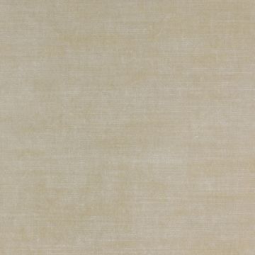 Jane Churchill - Calino - J716F-01 Ivory