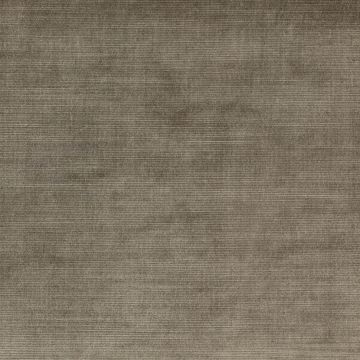 Jane Churchill - Calino - J716F-05 Chinchilla