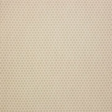 Jane Churchill - Patino - J773F-03 Stone