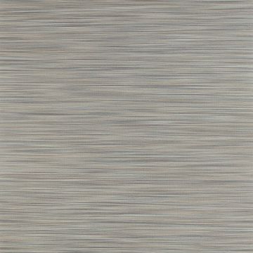 Jane Churchill - Atmosphere V W/P - Esker Wallpaper - J8007-01 Charcoal