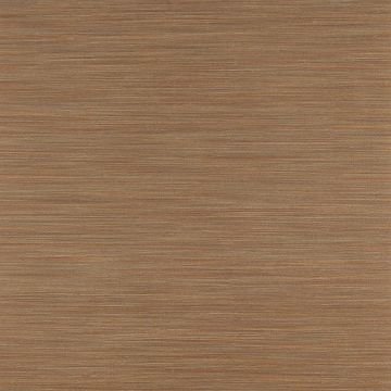 Jane Churchill - Atmosphere V W/P - Esker Wallpaper - J8007-02 Copper