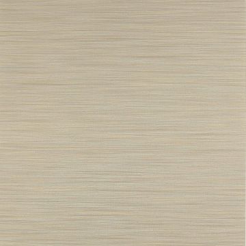 Jane Churchill - Atmosphere V W/P - Esker Wallpaper - J8007-05 Gold