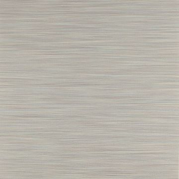 Jane Churchill - Atmosphere V W/P - Esker Wallpaper - J8007-06 Steel/Copper