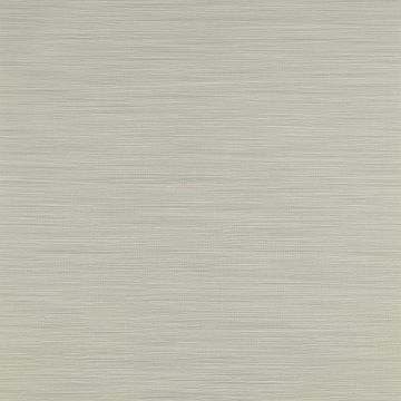 Jane Churchill - Atmosphere V W/P - Esker Wallpaper - J8007-07 Silver