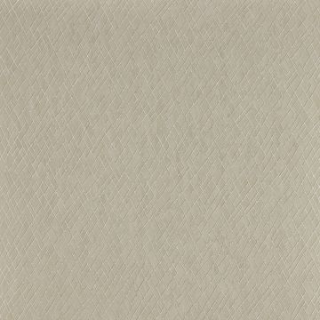 Jane Churchill - Atmosphere V W/P - Rex Wallpaper - J8011-01 Stone