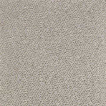 Jane Churchill - Atmosphere V W/P - Rex Wallpaper - J8011-03 Silver/Gold