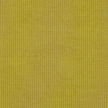 Jane Churchill - Lucas - J851F-02 Lime