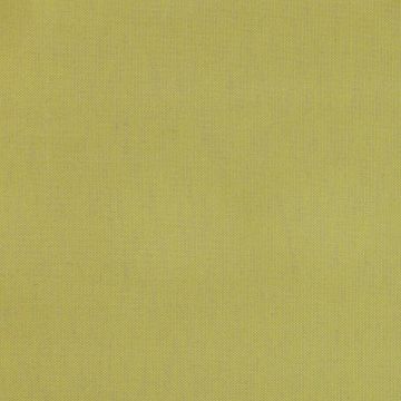 Jane Churchill - Calyon - J855F-19 Lime