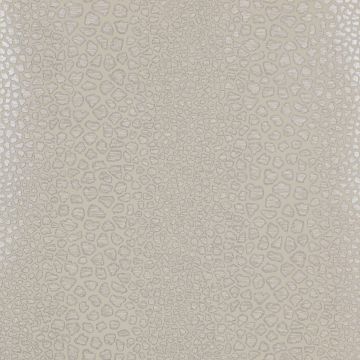 Jane Churchill - Atmosphere Volume I - Polaris - J154W-03 Silver