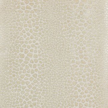 Jane Churchill - Atmosphere Volume I - Polaris - J154W-05 Silver/Gold