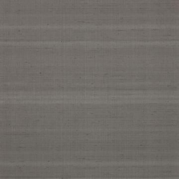 Jane Churchill - Atmosphere Volume II - Astral - J158W-06 Charcoal