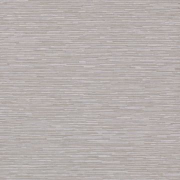 Jane Churchill - Atmosphere Volume II - Zander - J164W-01 Silver