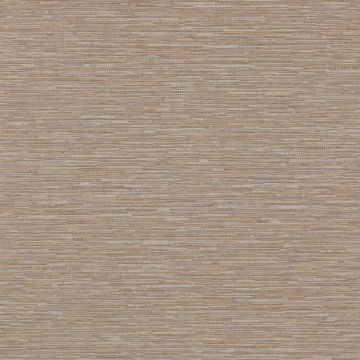 Jane Churchill - Atmosphere Volume II - Zander - J164W-03 Gold