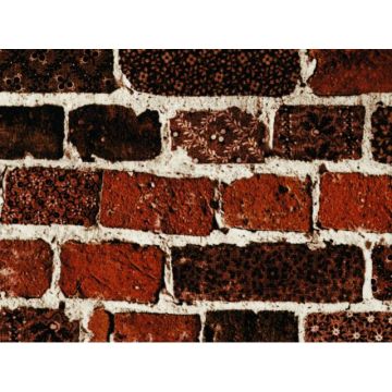 Jean Paul Gaultier - Folk - 3451-03 Terre