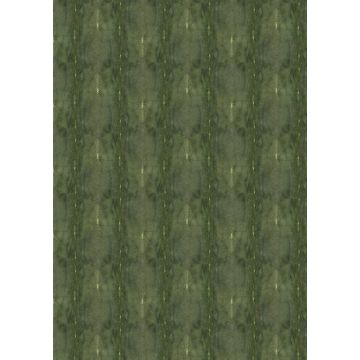 Jean Paul Gaultier - Precieux - 3326-04 Vert