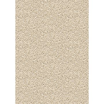 Jean Paul Gaultier - Ecailles - 3327-01 Or