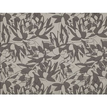 Jim Thompson - The Greek Isles - Delos 3315-06