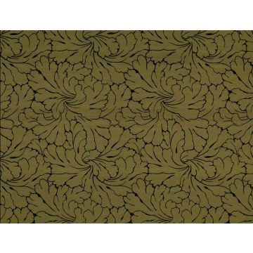 Jim Thompson - Illumination - Illumination 3385-04