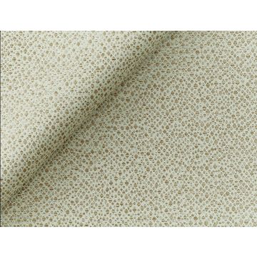 Jim Thompson - The Rite Of Spring - Firebird 3411-01