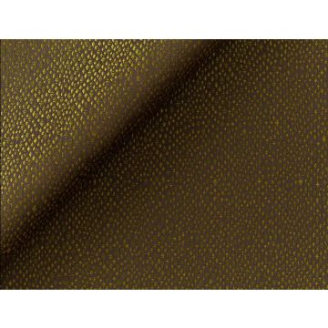 Jim Thompson - The Rite Of Spring - Firebird 3411-05