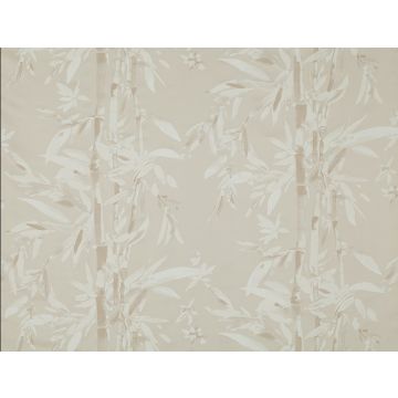 Jim Thompson - The Bamboo Forest - Bamboo Forest 3488-01