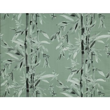 Jim Thompson - The Bamboo Forest - Bamboo Forest 3488-03