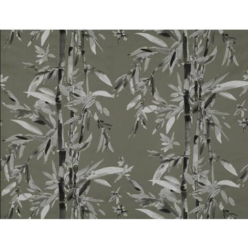 Jim Thompson - The Bamboo Forest - Bamboo Forest 3488-05