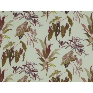 Jim Thompson - The Bamboo Forest - Caladium 3491-01