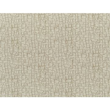 Jim Thompson - Singing In The Rain - Nuage 3524-02