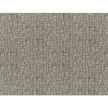 Jim Thompson - Singing In The Rain - Nuage 3524-05