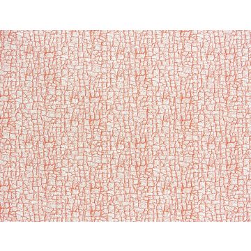 Jim Thompson - Singing In The Rain - Nuage 3524-12