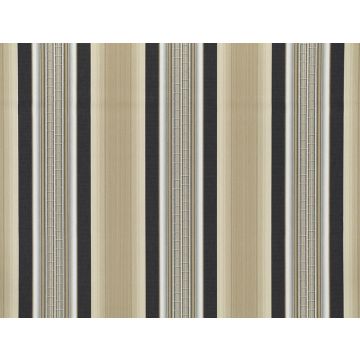 Jim Thompson - Singing In The Rain - Torrent 3525-01