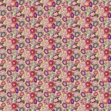 John Derian - Varietes De Gloxinia - FJD6001/01 Violet