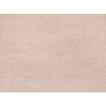 Kirkby Design - Bear - K5233/04 Powder