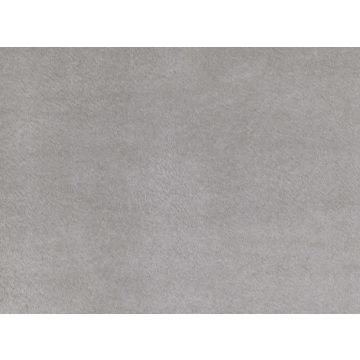 Kirkby Design - Bear - K5233/07 Ash