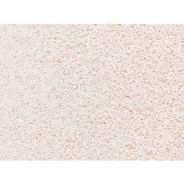 Kirkby Design - Chisel - WK811/08 - Shell