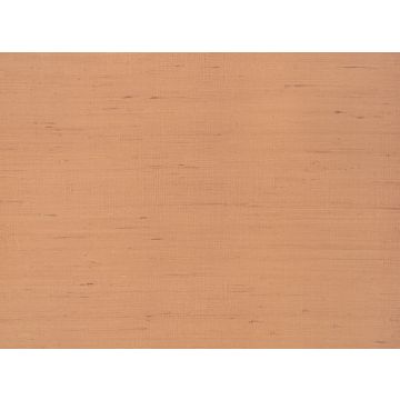 Kirkby Design - Glade - WK812/04 - Sienna