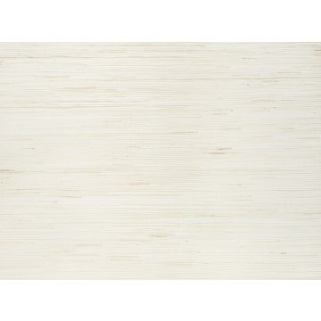 Kirkby Design - Glade - WK812/08 - Ash