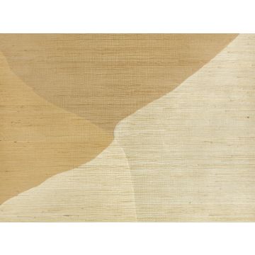 Kirkby Design - Studio Wall Mural - WK817/04 - Desert