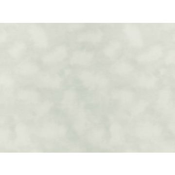 Kirkby Design - Mist - WK818/01 - Ash