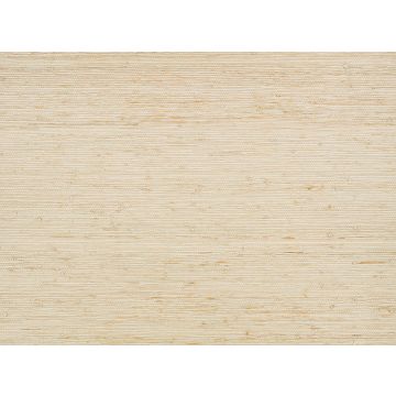 Kirkby Design - Solid - WK822/02 - Natural